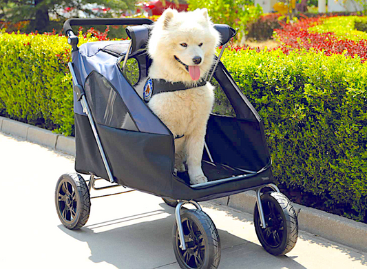 strollers for dogs, handicapped pets, senior dogs, injured dogs, vital vet